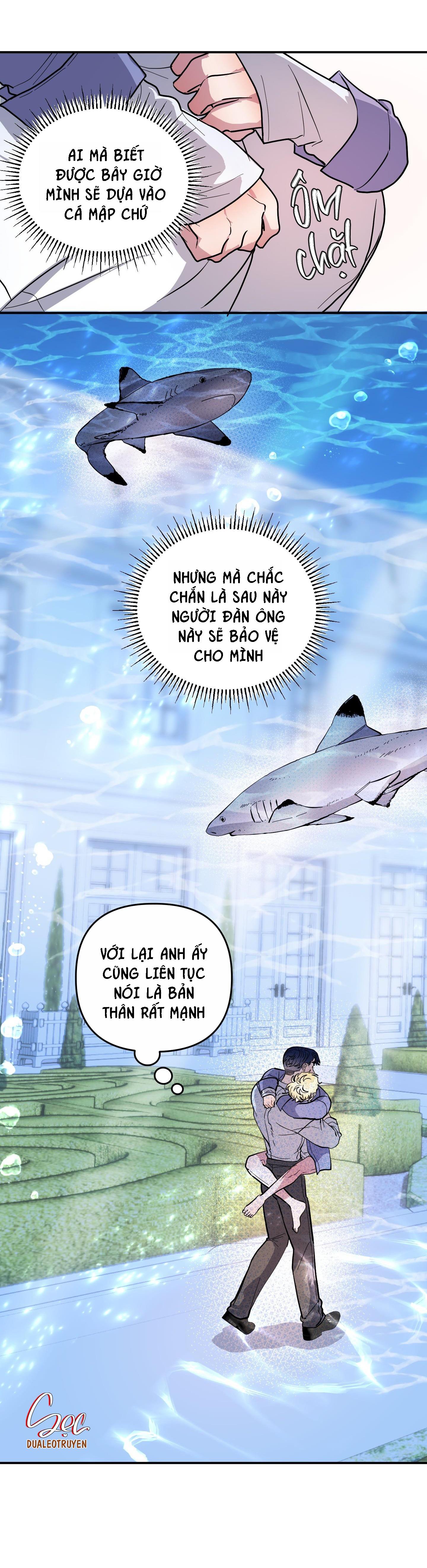 Đọc truyện CÁ MẬP VÀ CÔ DÂU THỎ - Chapter 38