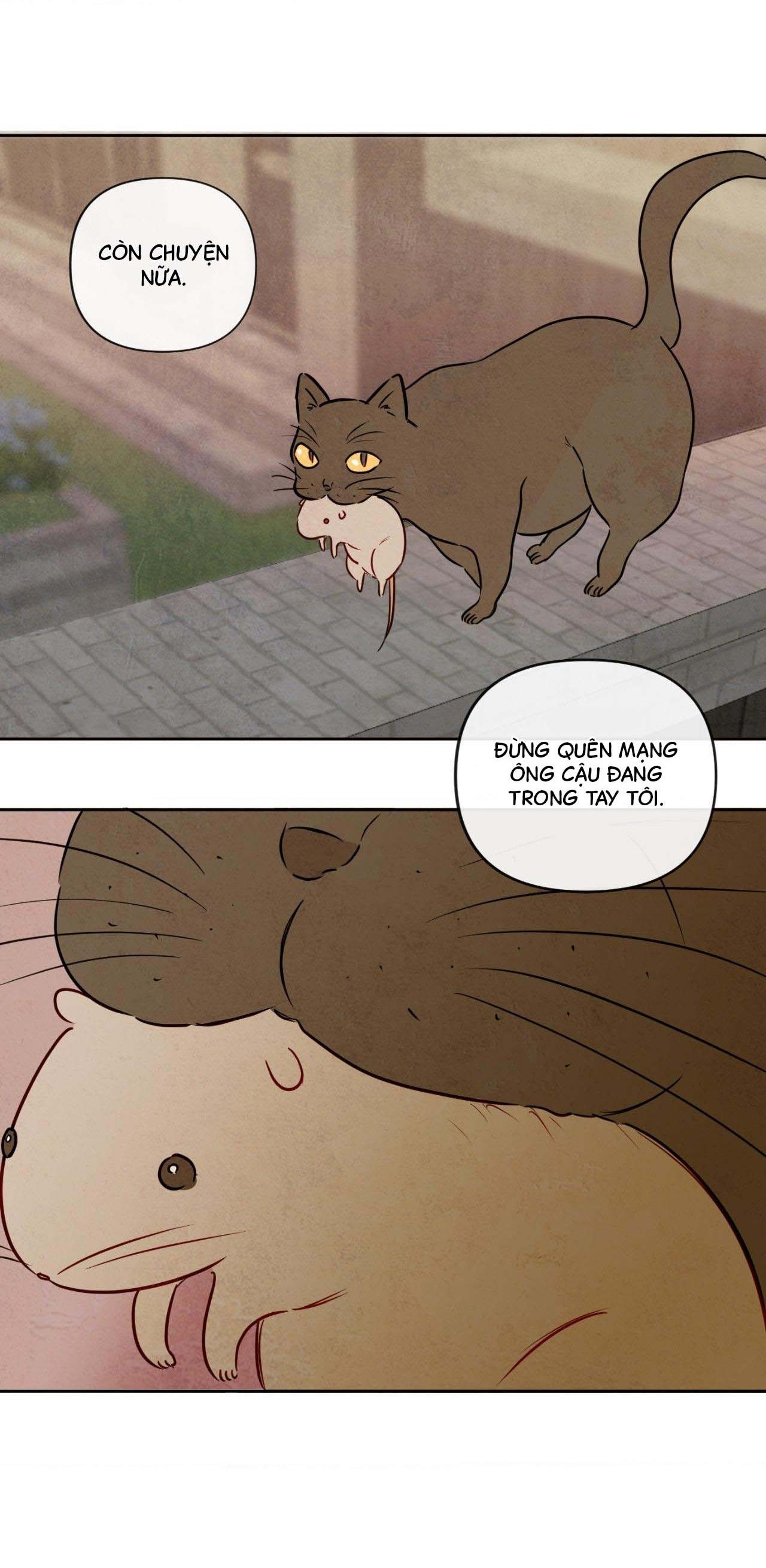 Đọc truyện Sự quyến rũ của Thần Rắn - Chapter 11