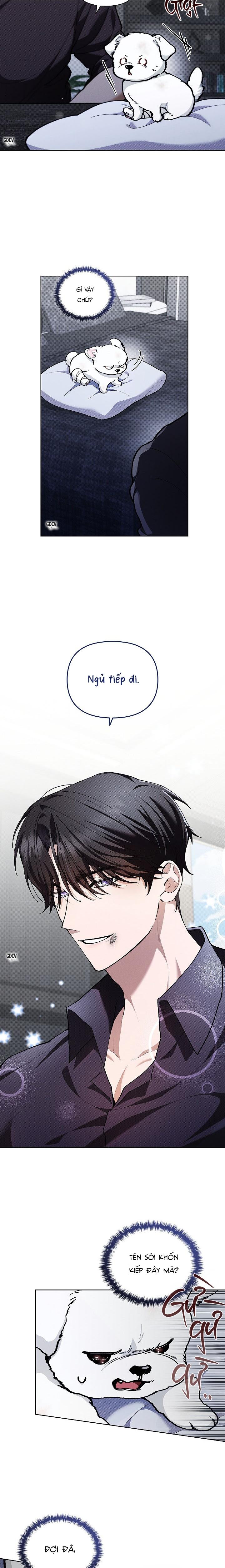 Đọc truyện ĐỪNG CHẠM VÀO CÚN CON CỦA TÔI - Chapter 3