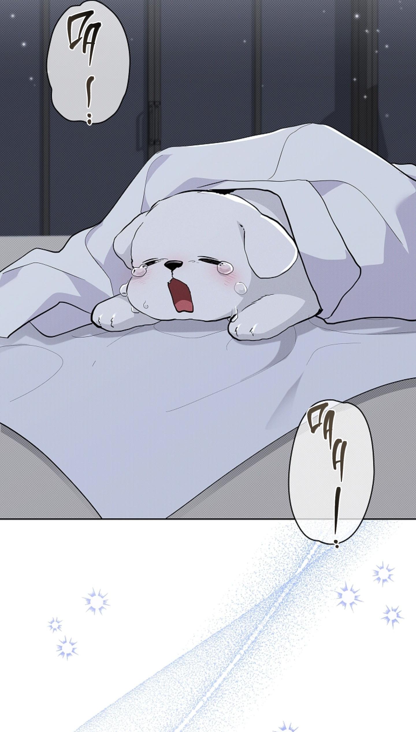 Đọc truyện ĐỪNG CHẠM VÀO CÚN CON CỦA TÔI - Chapter 30