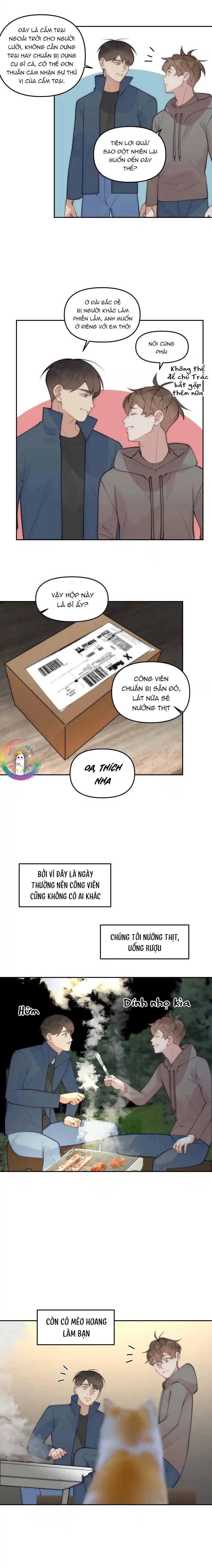 Đọc truyện (END) Đàn Anh Sói Ca Cùng Phòng Của Tôi - Chapter 81