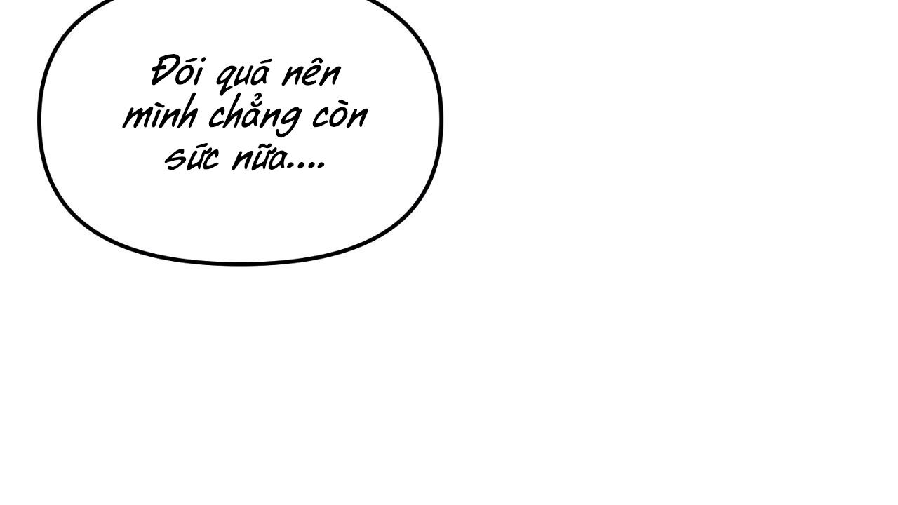 Đọc truyện Hình Chiếu - Chapter 11