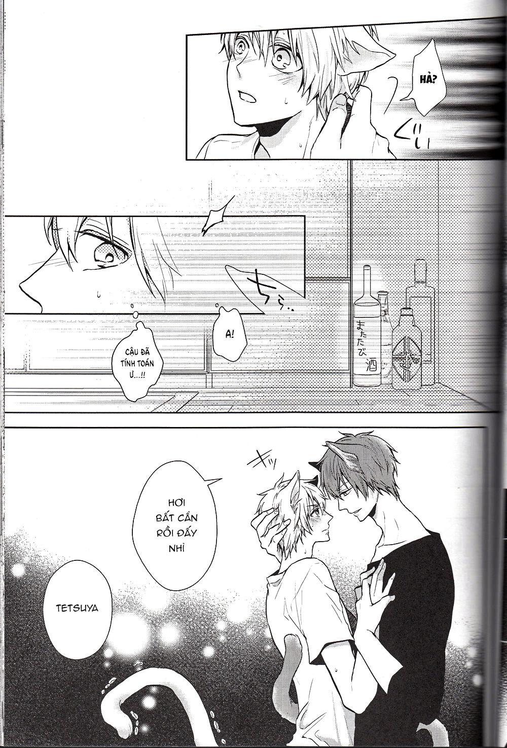 Đọc truyện Doujinshi của Kuroko no basket ball - Chapter 6