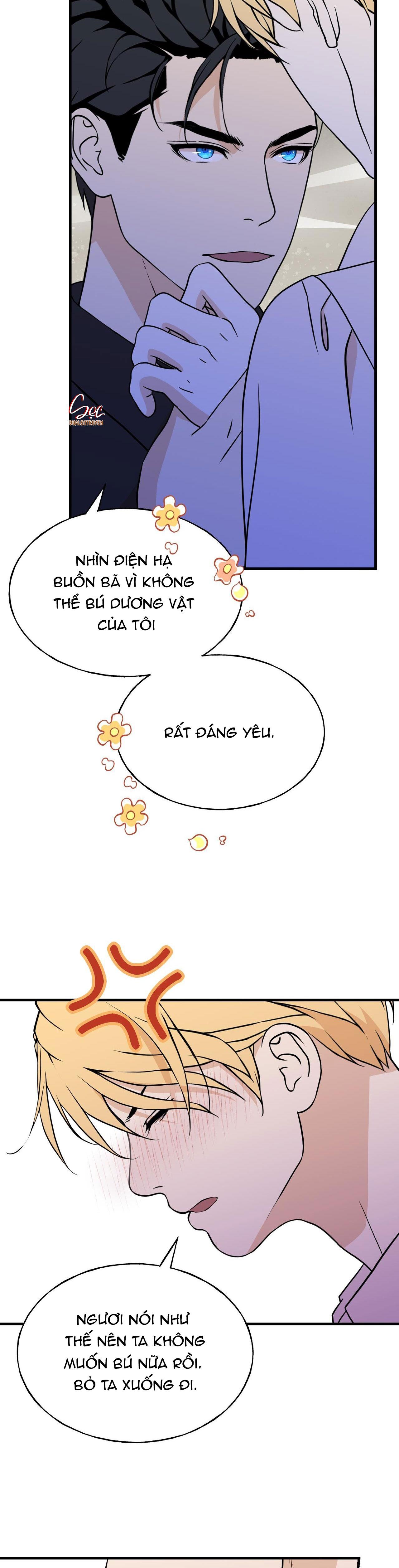 Đọc truyện (ABO) ĐÁM CƯỚI HOÀNG GIA - Chapter 17
