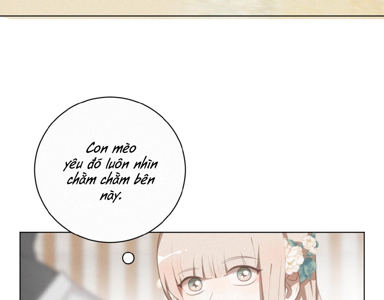 Đọc truyện Xã Hội Mồn Lèo - Chapter 65