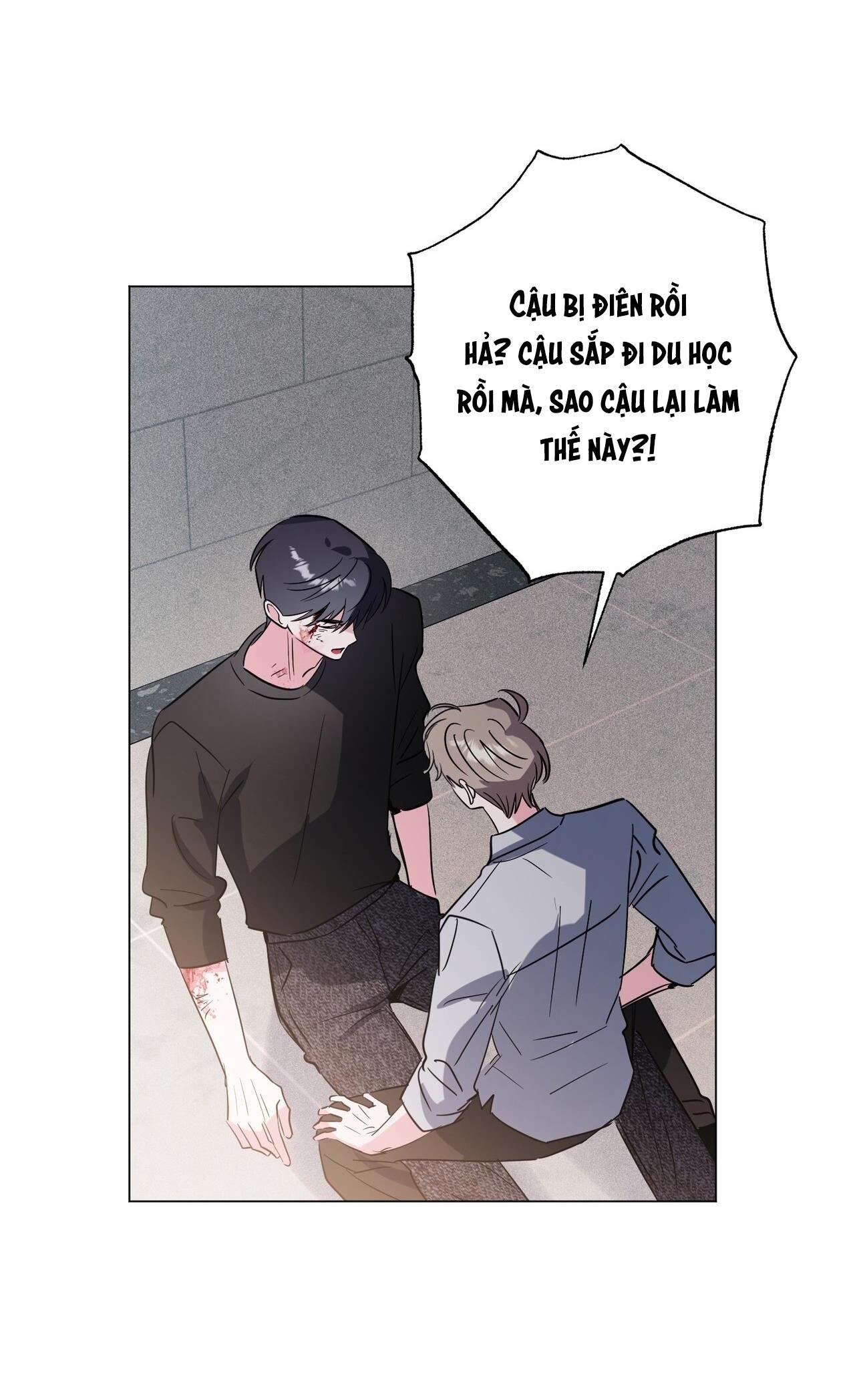 Đọc truyện CẠM BẪY ĐẠI HỌC - Chapter 103