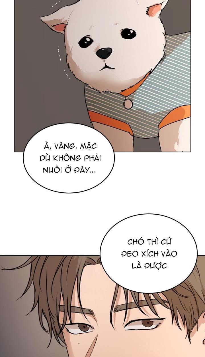Đọc truyện BÁNH QUY TÌNH YÊU TAN CHẢY - Chapter 8