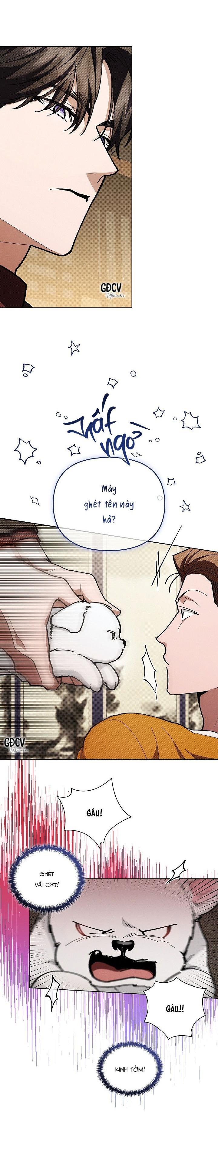 Đọc truyện ĐỪNG CHẠM VÀO CÚN CON CỦA TÔI - Chapter 5