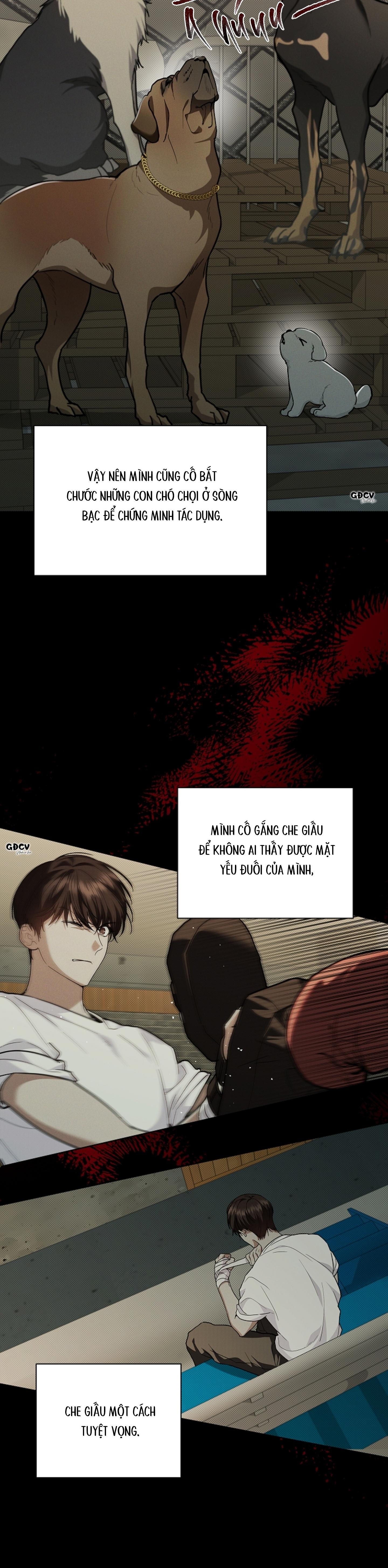 Đọc truyện ĐỪNG CHẠM VÀO CÚN CON CỦA TÔI - Chapter 16
