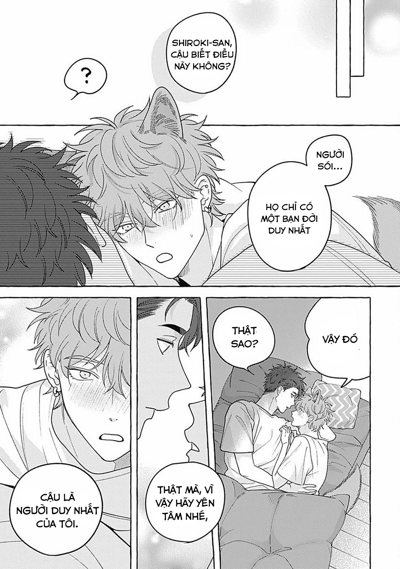 Đọc truyện Aimai na Wolf (END) - Chapter 5.5
