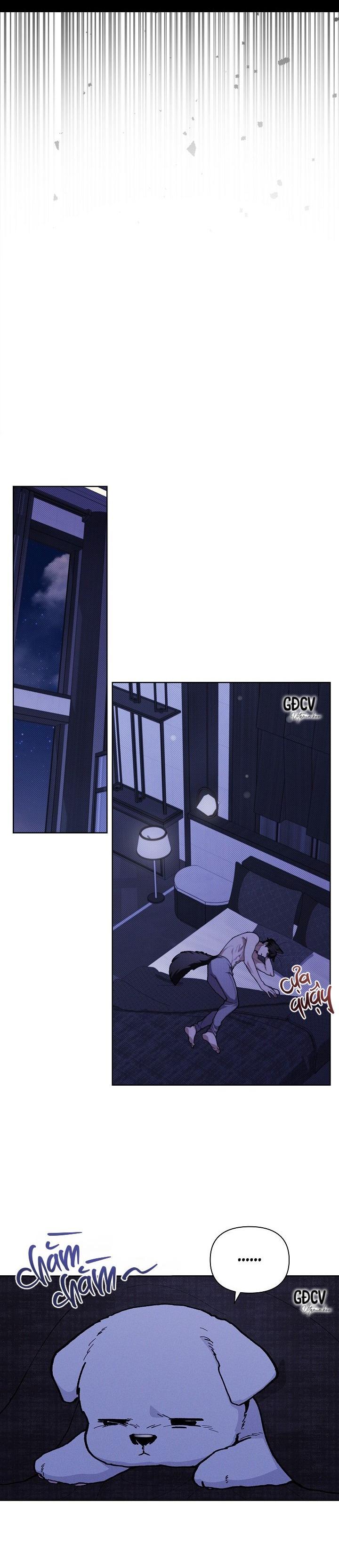 Đọc truyện ĐỪNG CHẠM VÀO CÚN CON CỦA TÔI - Chapter 7