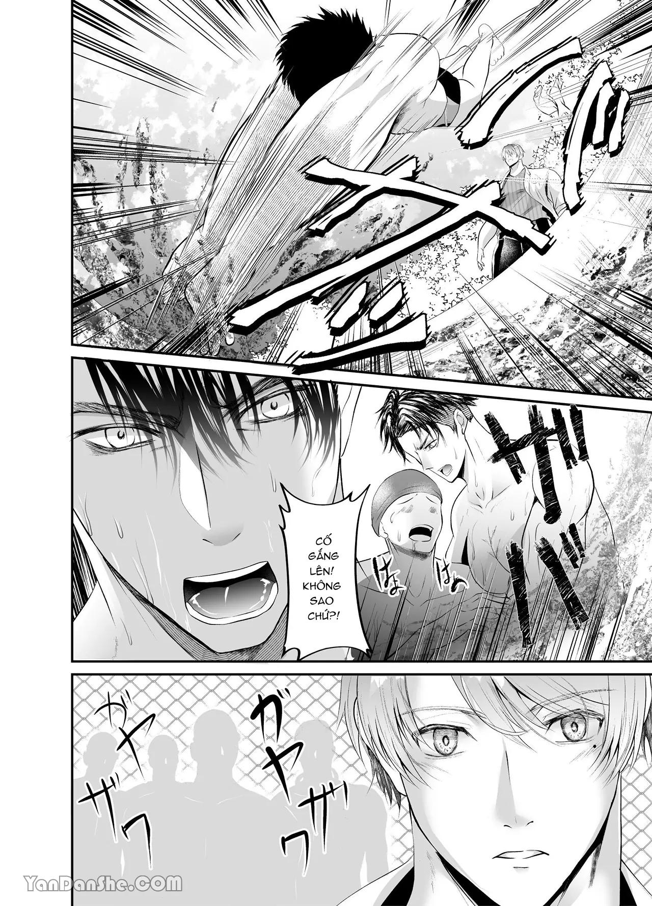 Đọc truyện Ở đây có yaoi hơi bị choáy - Chapter 257
