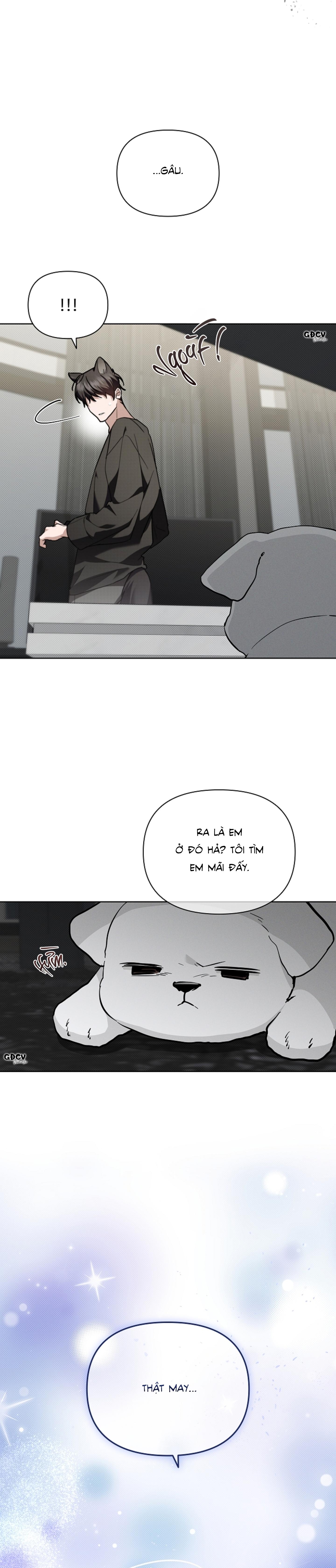 Đọc truyện ĐỪNG CHẠM VÀO CÚN CON CỦA TÔI - Chapter 19