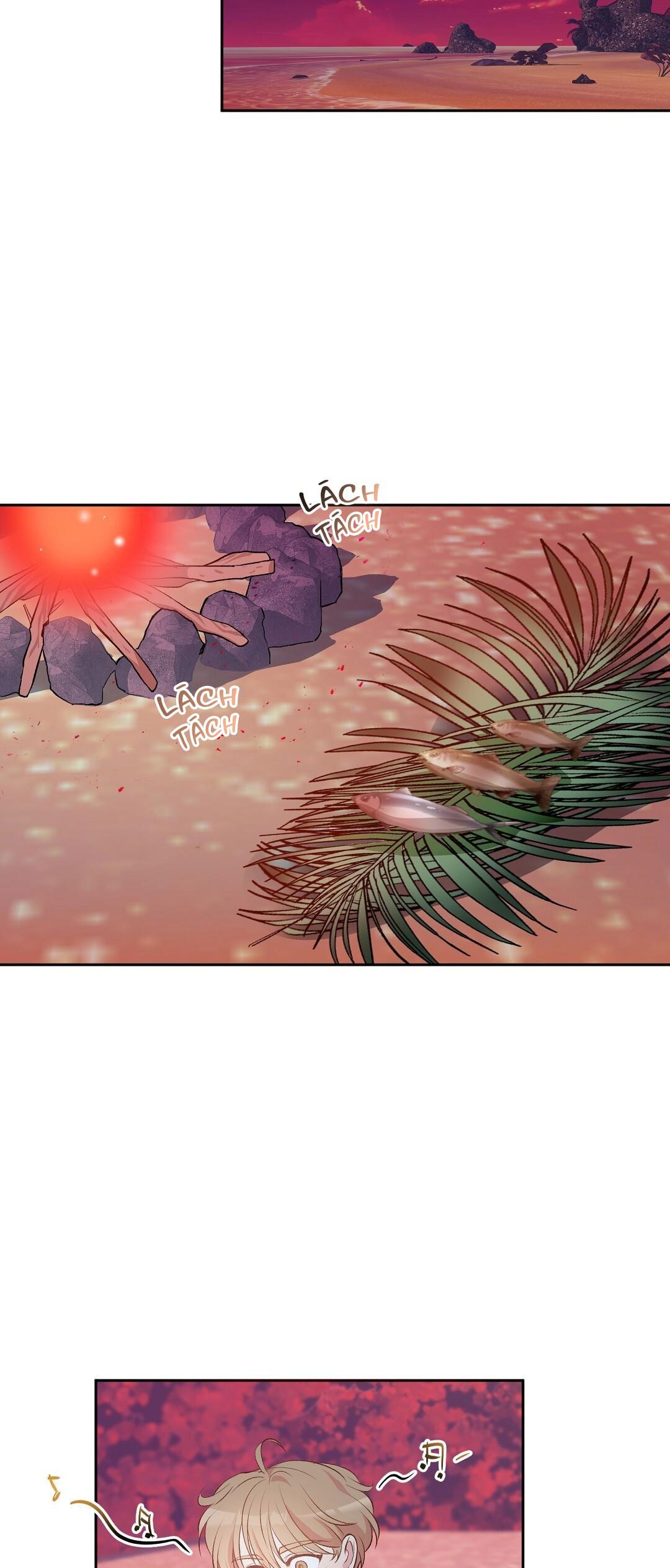 Đọc truyện CHUYỆN TÌNH ĐẢO HOANG - Chapter 4