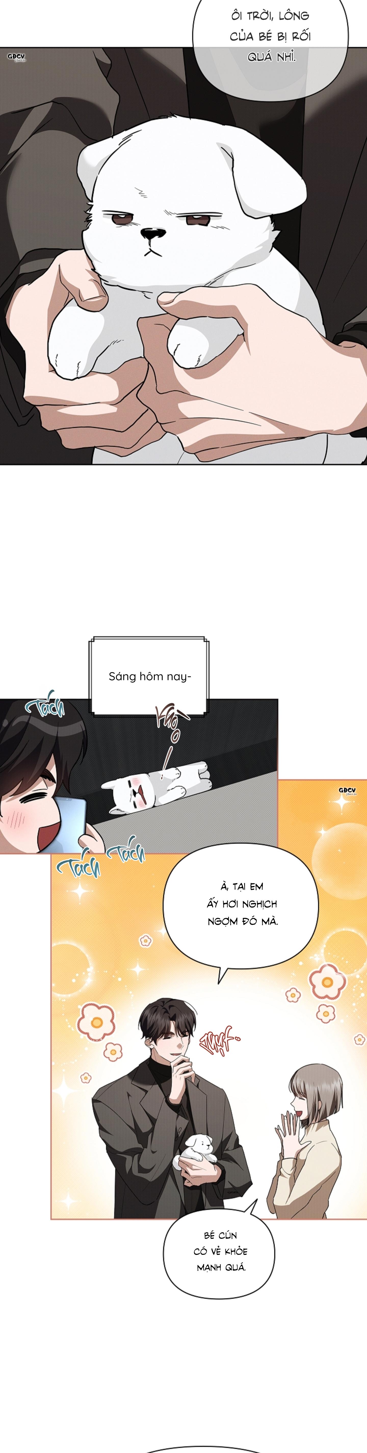 Đọc truyện ĐỪNG CHẠM VÀO CÚN CON CỦA TÔI - Chapter 28