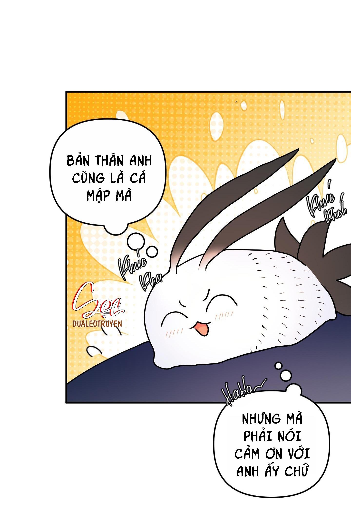 Đọc truyện CÁ MẬP VÀ CÔ DÂU THỎ - Chapter 38