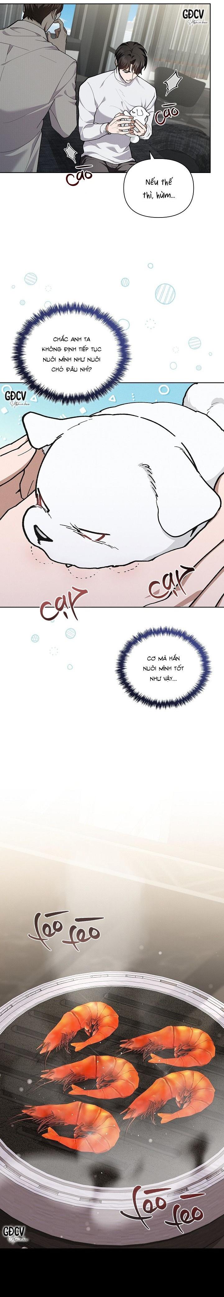 Đọc truyện ĐỪNG CHẠM VÀO CÚN CON CỦA TÔI - Chapter 7