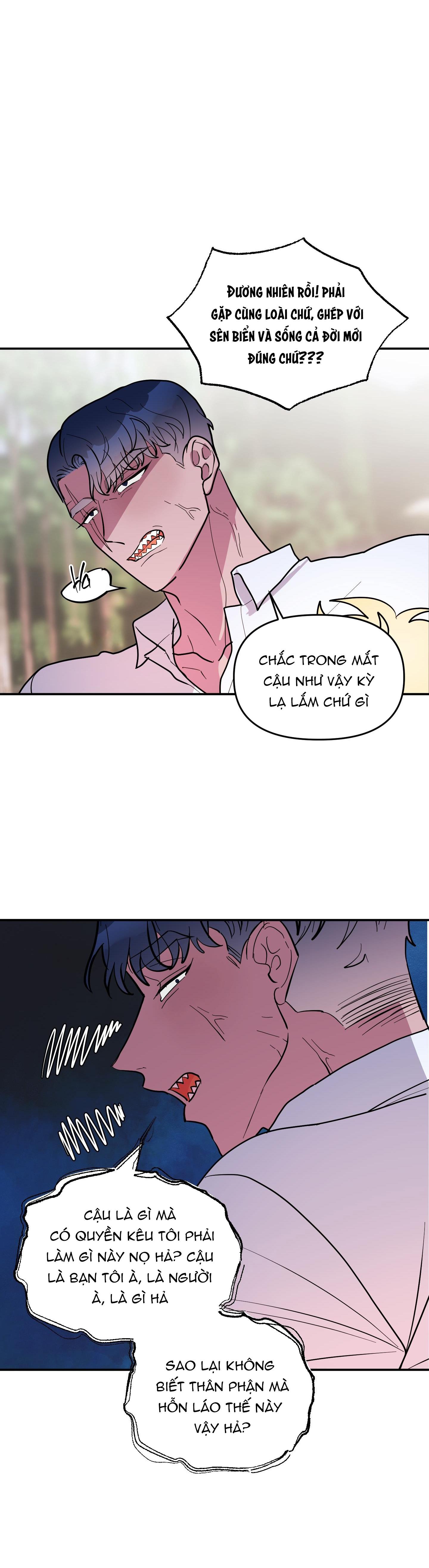 Đọc truyện CÁ MẬP VÀ CÔ DÂU THỎ - Chapter 34