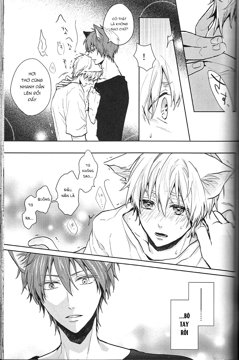 Đọc truyện Doujinshi của Kuroko no basket ball - Chapter 6