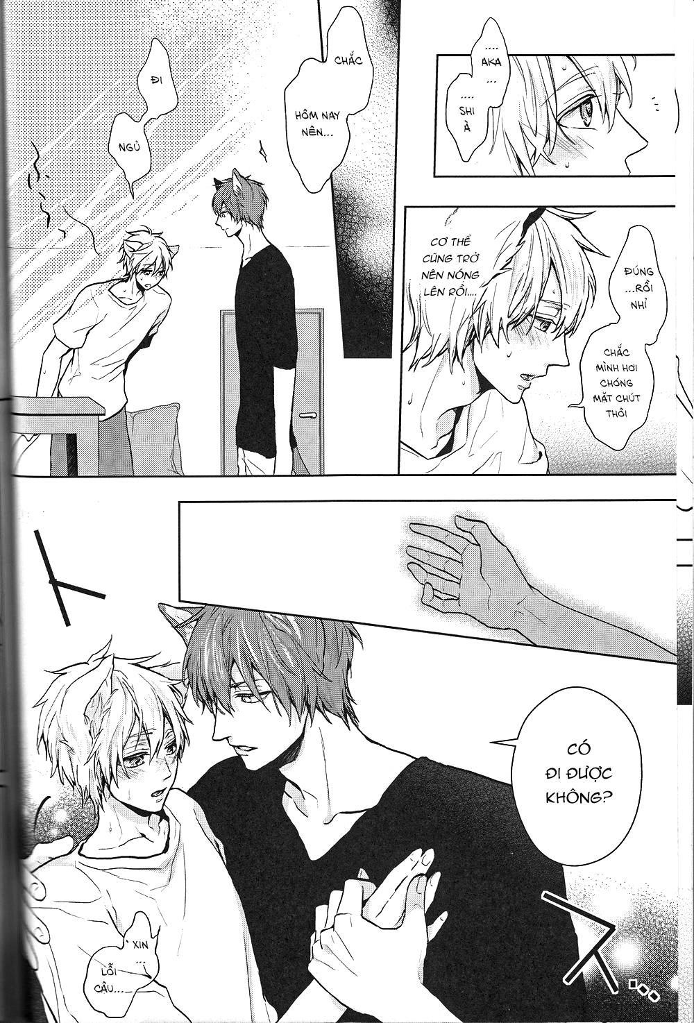 Đọc truyện Doujinshi của Kuroko no basket ball - Chapter 6