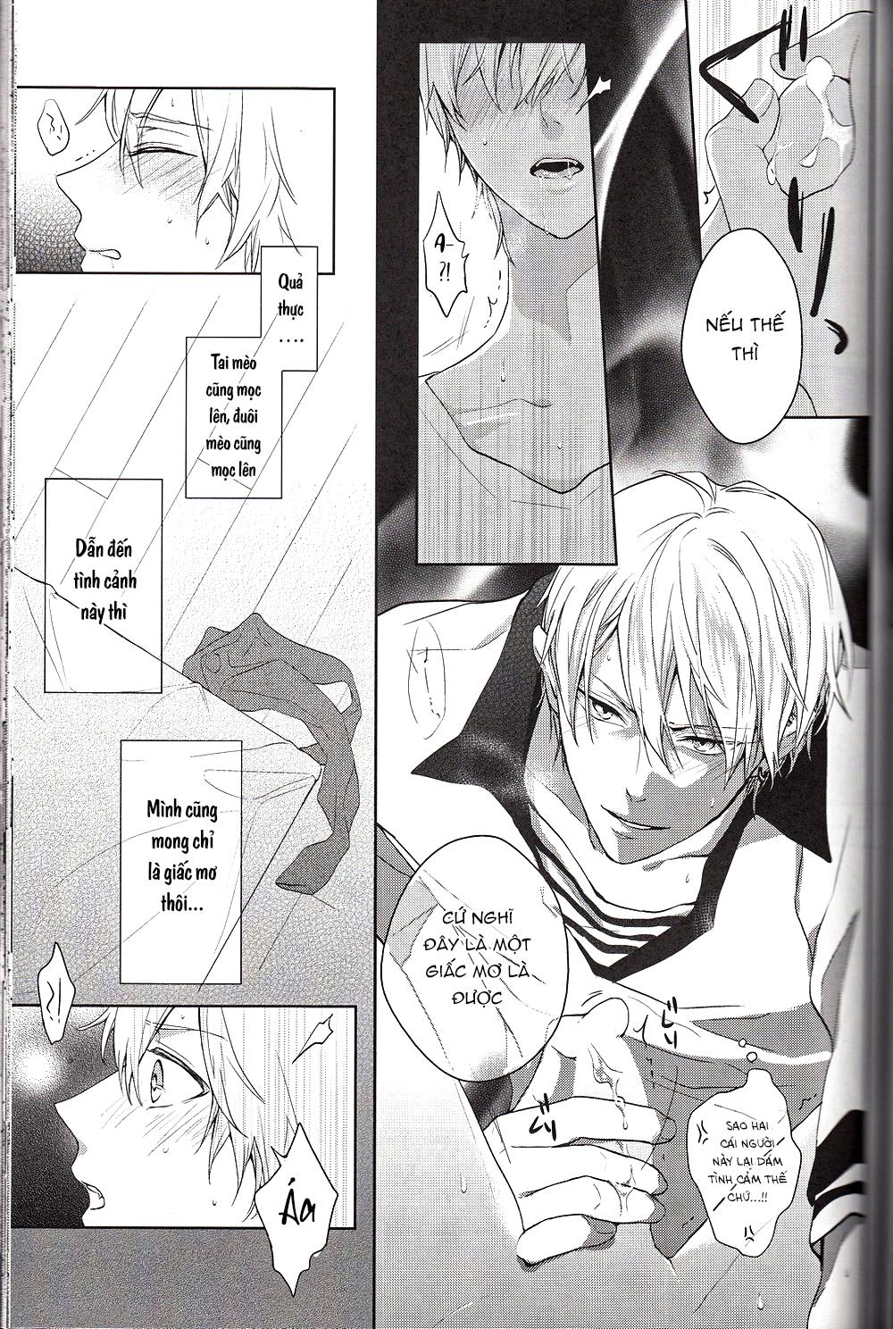 Đọc truyện Doujinshi của Kuroko no basket ball - Chapter 6