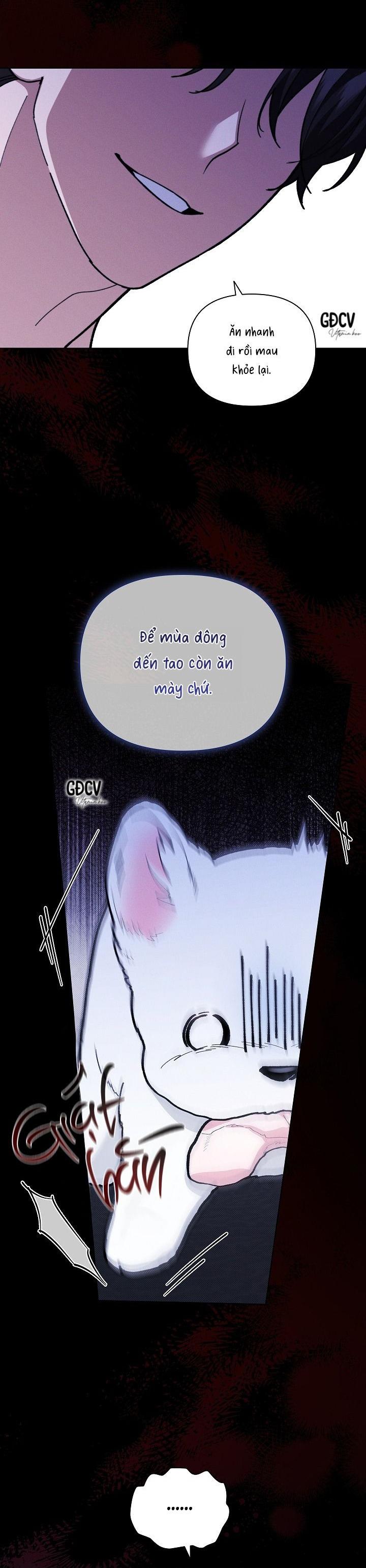 Đọc truyện ĐỪNG CHẠM VÀO CÚN CON CỦA TÔI - Chapter 7
