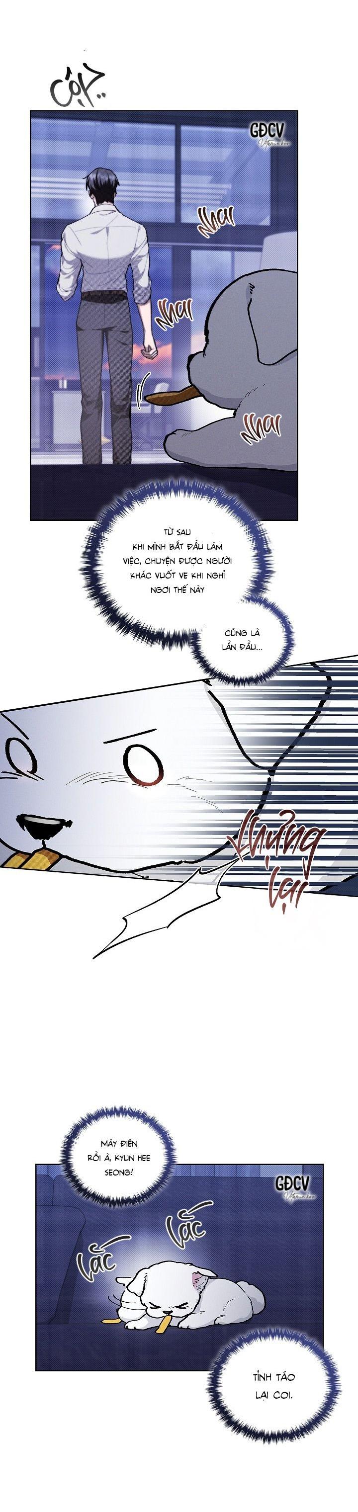 Đọc truyện ĐỪNG CHẠM VÀO CÚN CON CỦA TÔI - Chapter 6