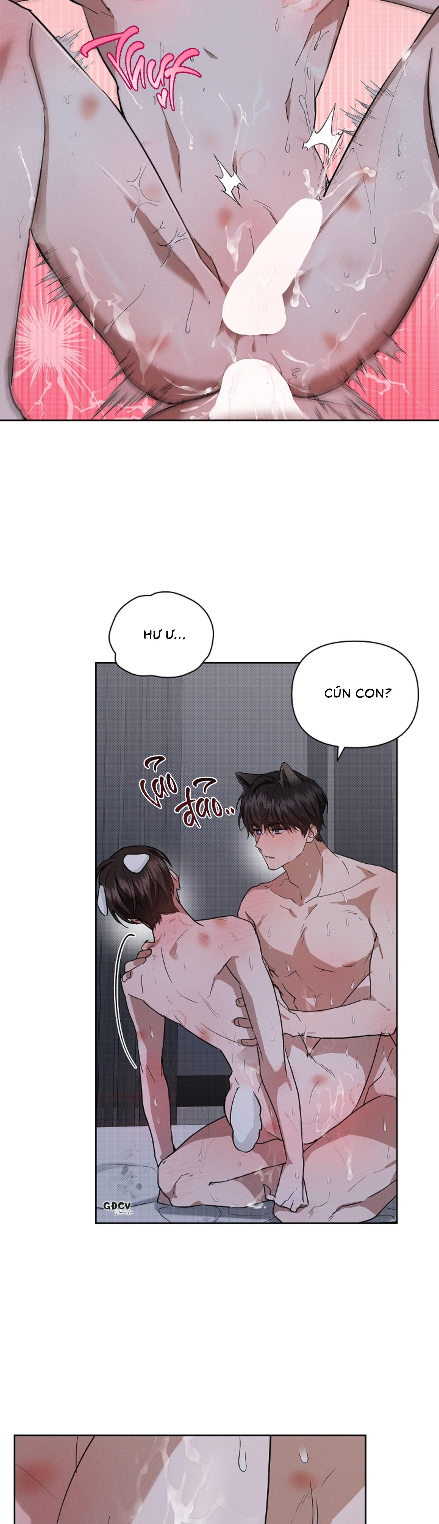 Đọc truyện ĐỪNG CHẠM VÀO CÚN CON CỦA TÔI - Chapter 26