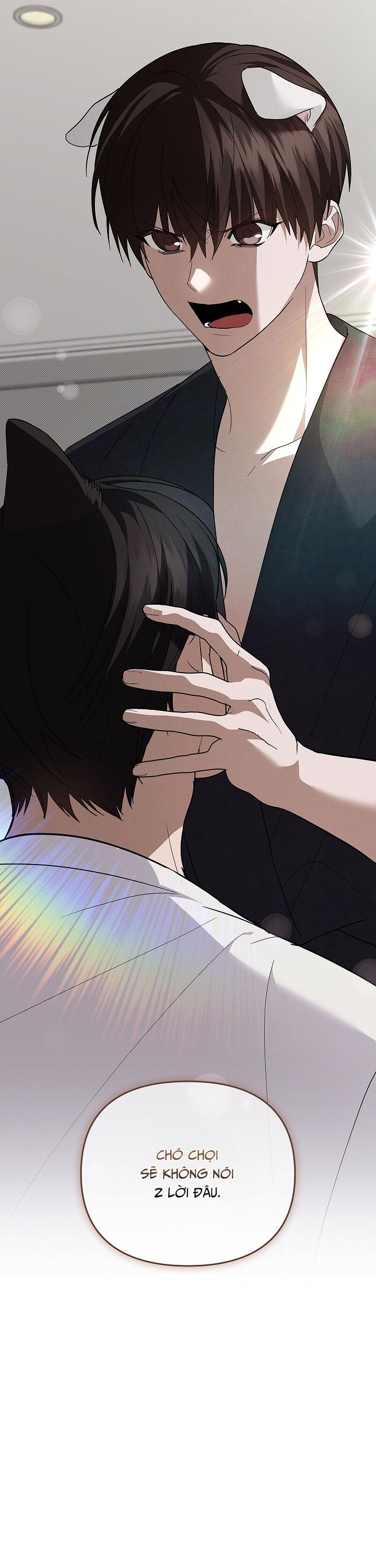 Đọc truyện ĐỪNG CHẠM VÀO CÚN CON CỦA TÔI - Chapter 32