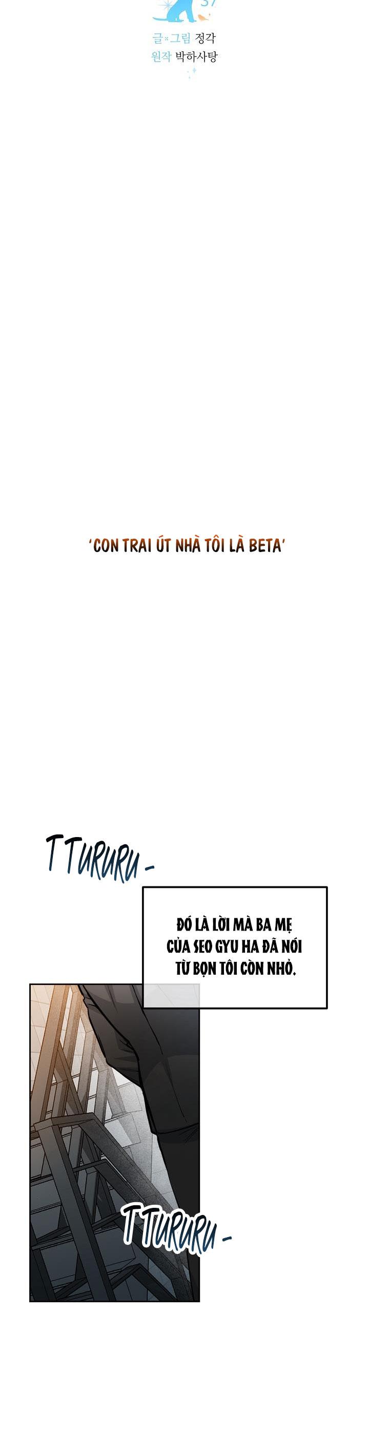 Đọc truyện CHÓ VÀ CHIM - Chapter 37