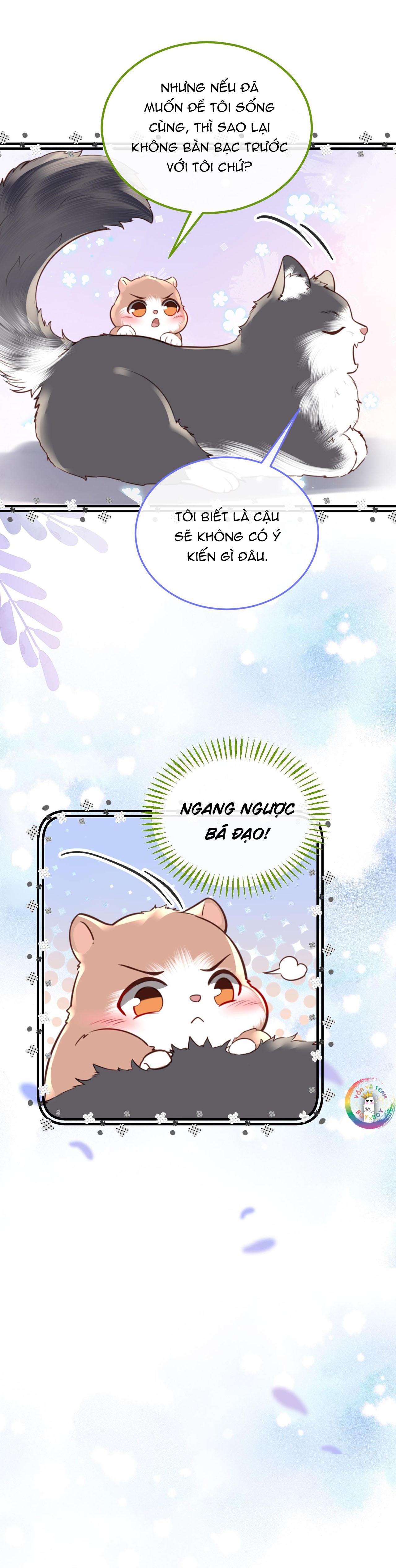 Đọc truyện Đặc Chế Cho Riêng Anh - Chapter 80