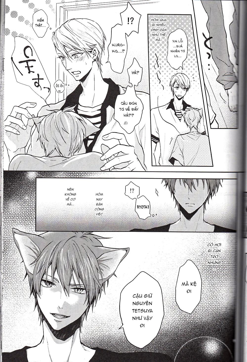 Đọc truyện Doujinshi của Kuroko no basket ball - Chapter 6