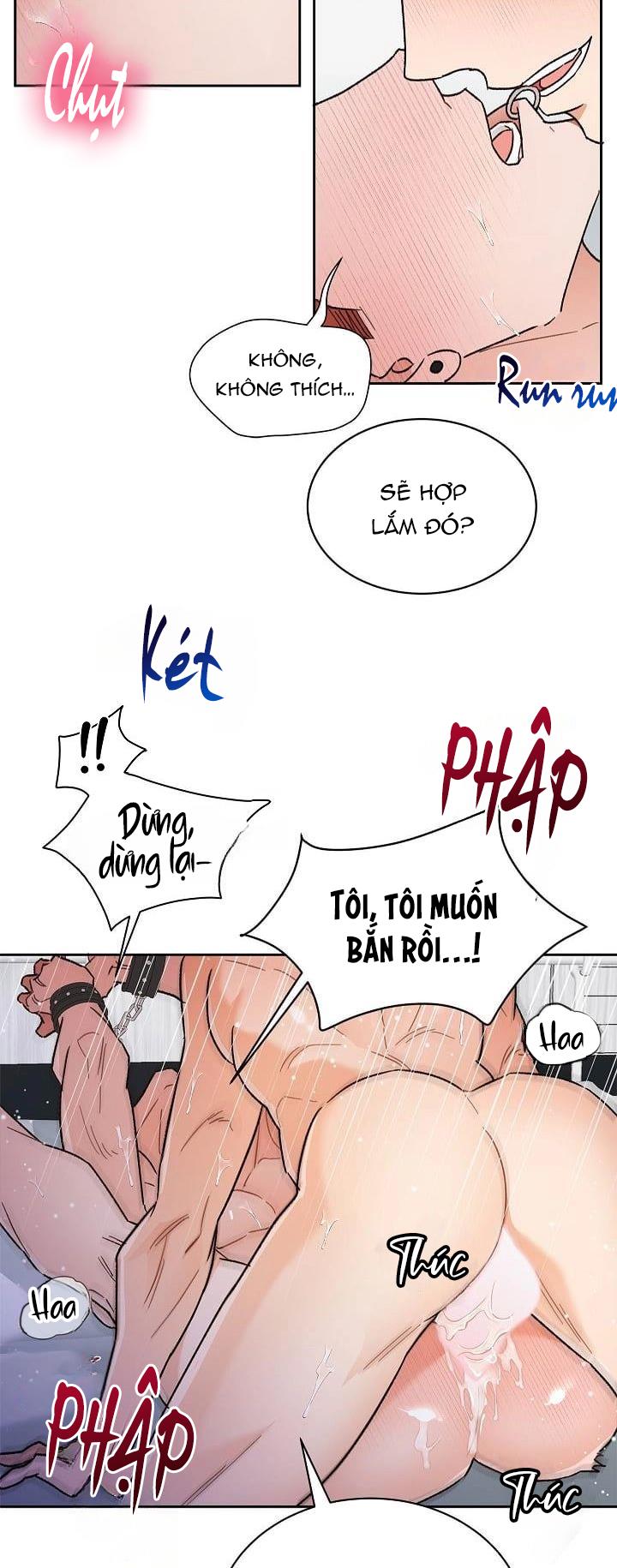 Đọc truyện TUYỂN TẬP NGỰC BỰ, CUNG KHỦ CỦA NHÀ KIM - Chapter 169.2