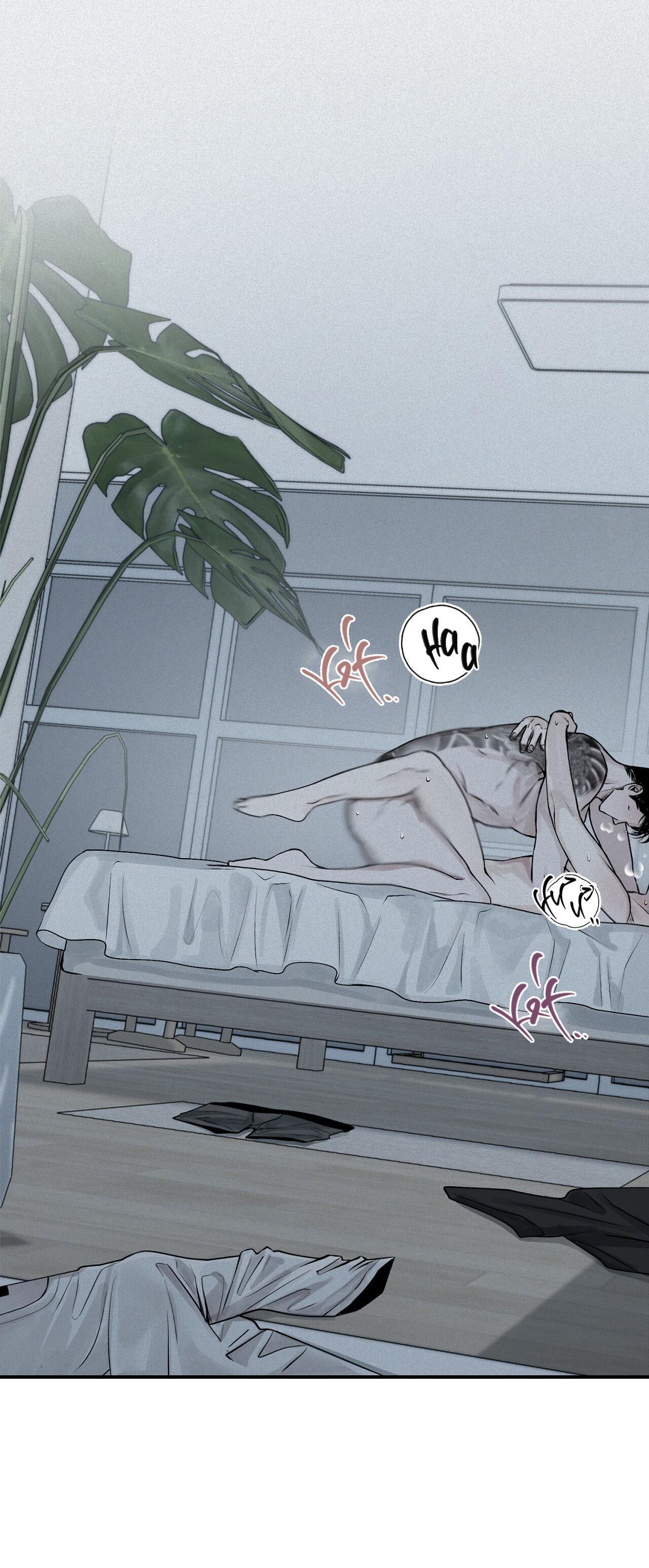Đọc truyện (CBunu) Phép Chiếu - Chapter 19