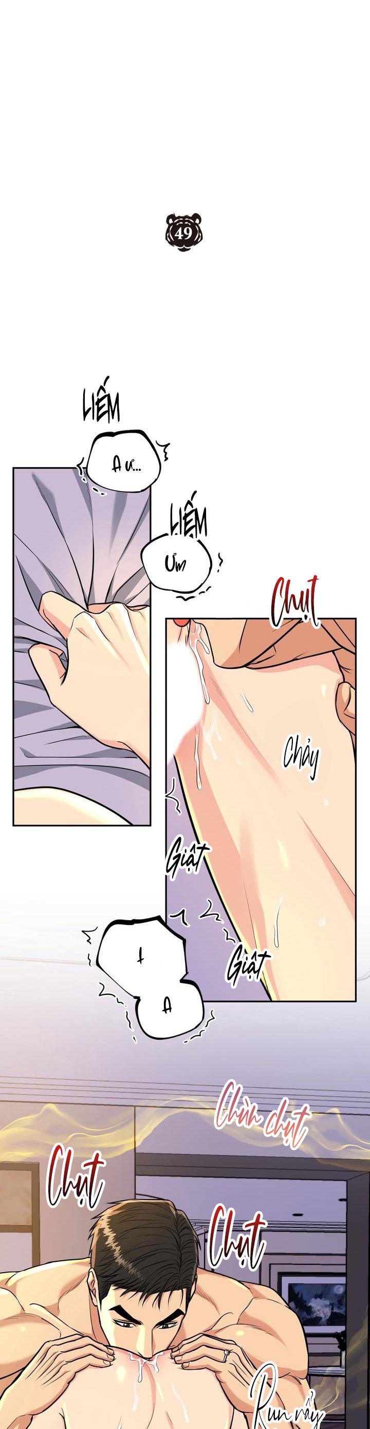 Đọc truyện (ABO) HANG HỔ - Chapter 49