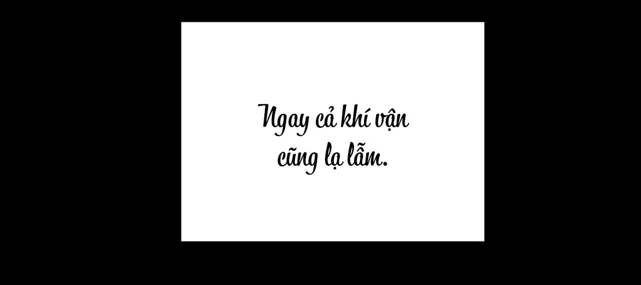 Đọc truyện (CBunu) Ám Giữ Linh Hồn - Chapter 51