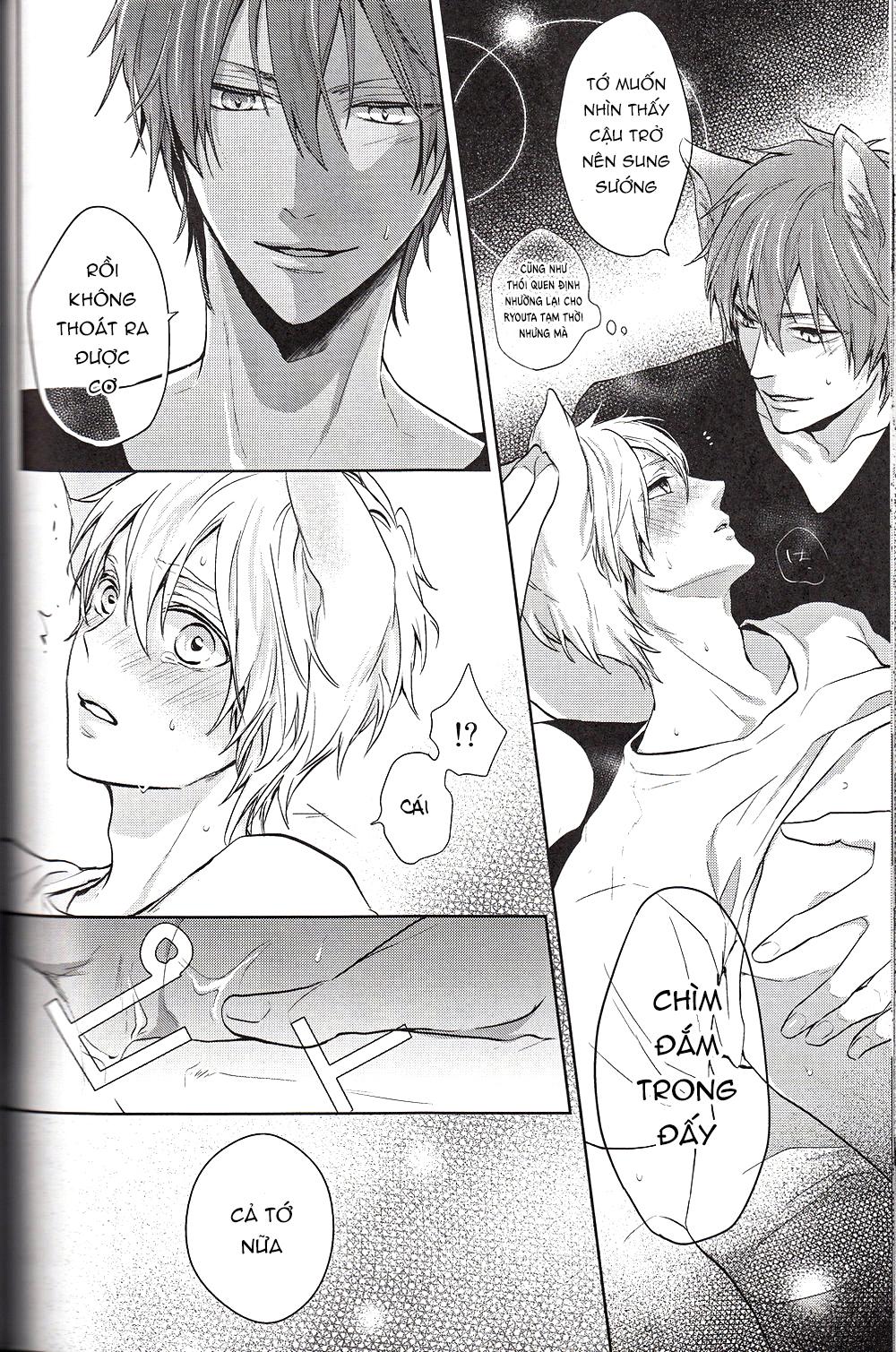 Đọc truyện Doujinshi của Kuroko no basket ball - Chapter 6