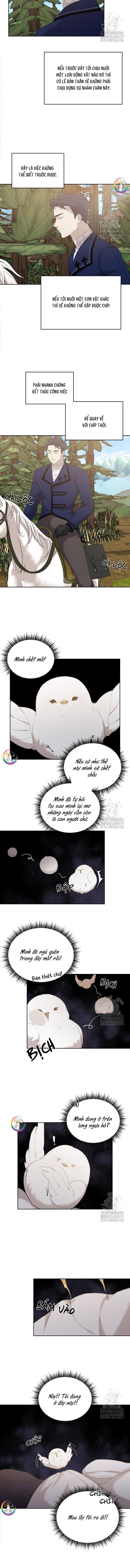 Đọc truyện Này, Đừng Có Nhấn Cái Nút Đó! - Chapter 9