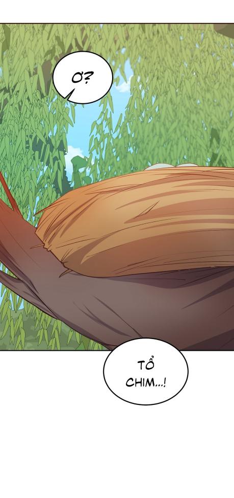 Đọc truyện CHUYỆN TÌNH ĐẢO HOANG - Chapter 8