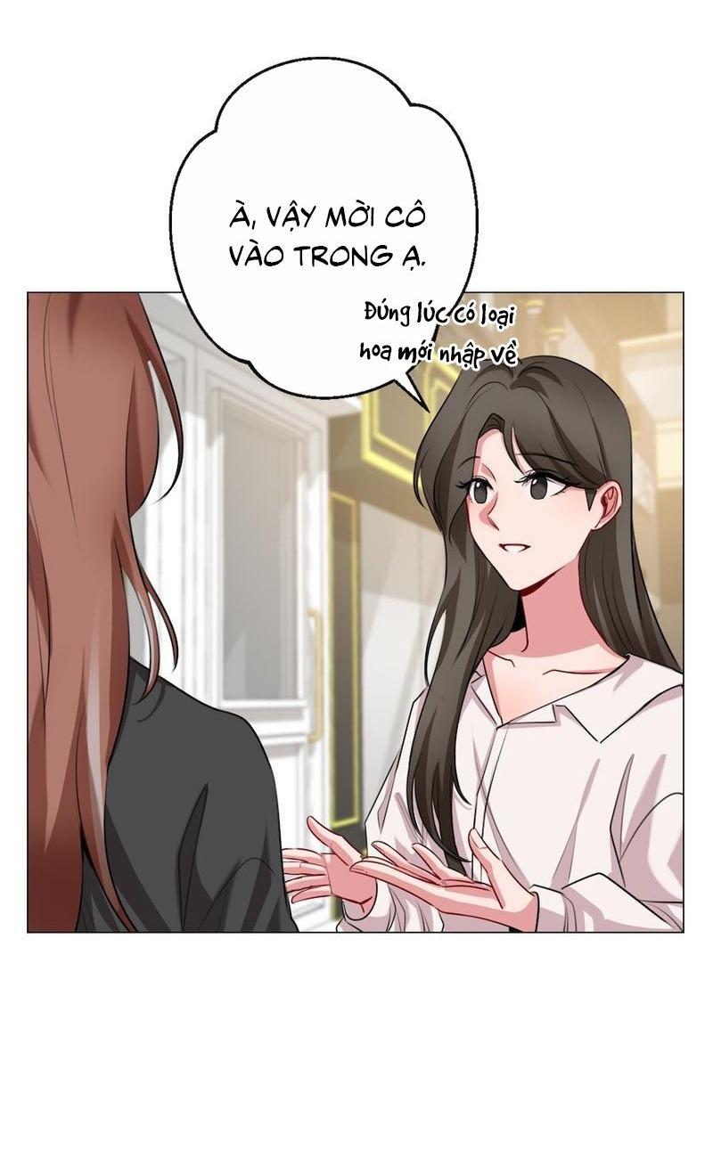 Đọc truyện Flower of youth - Chapter 8