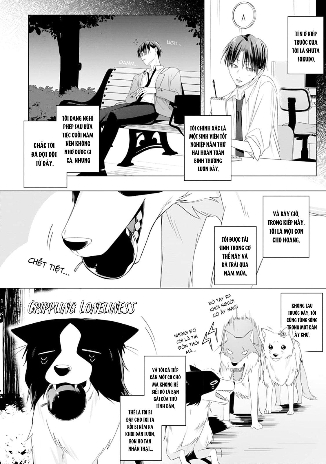 Đọc truyện Ở đây có yaoi hơi bị choáy - Chapter 220