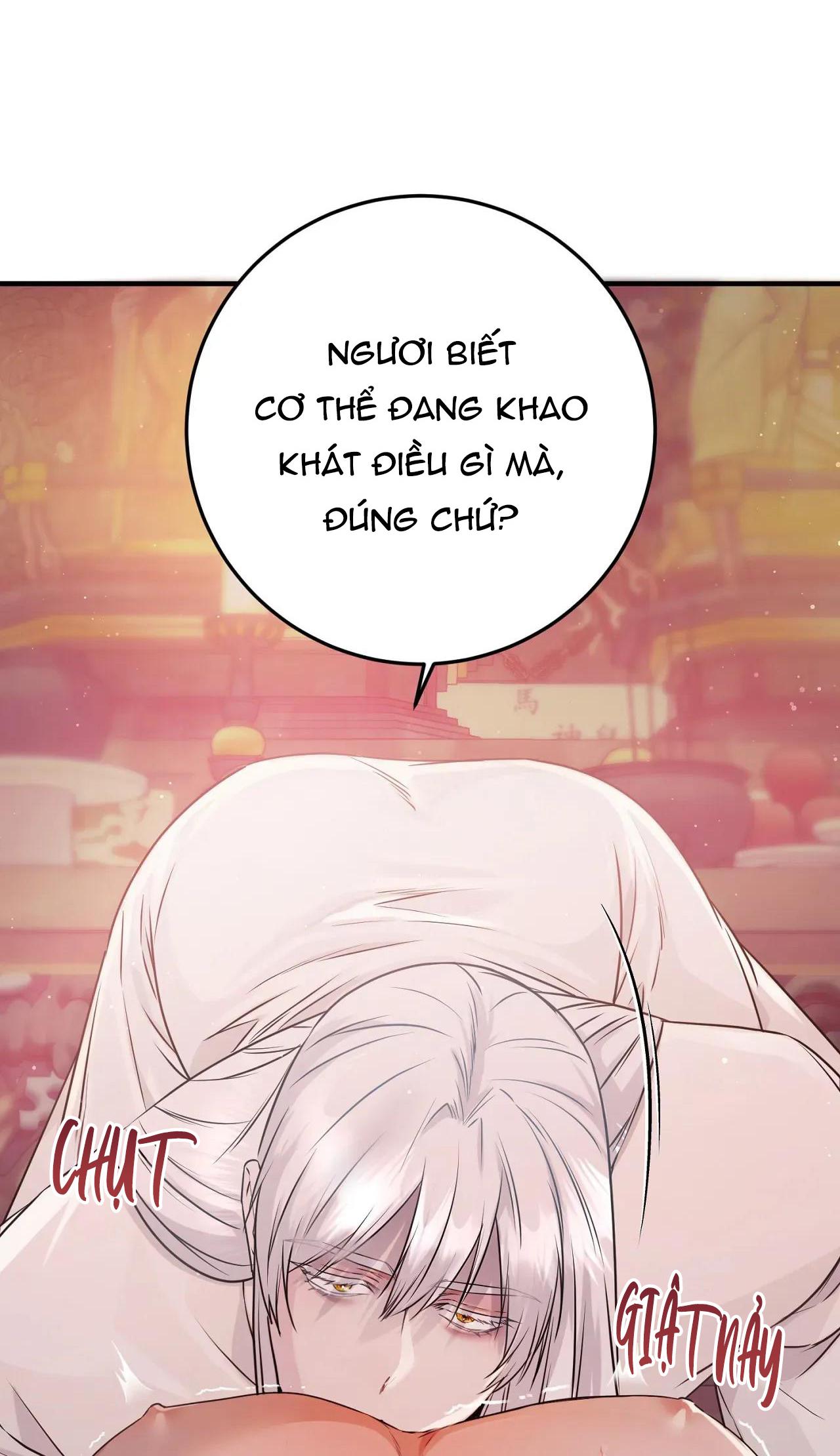 Đọc truyện Rắn Và Ân Nhân - Chapter 1