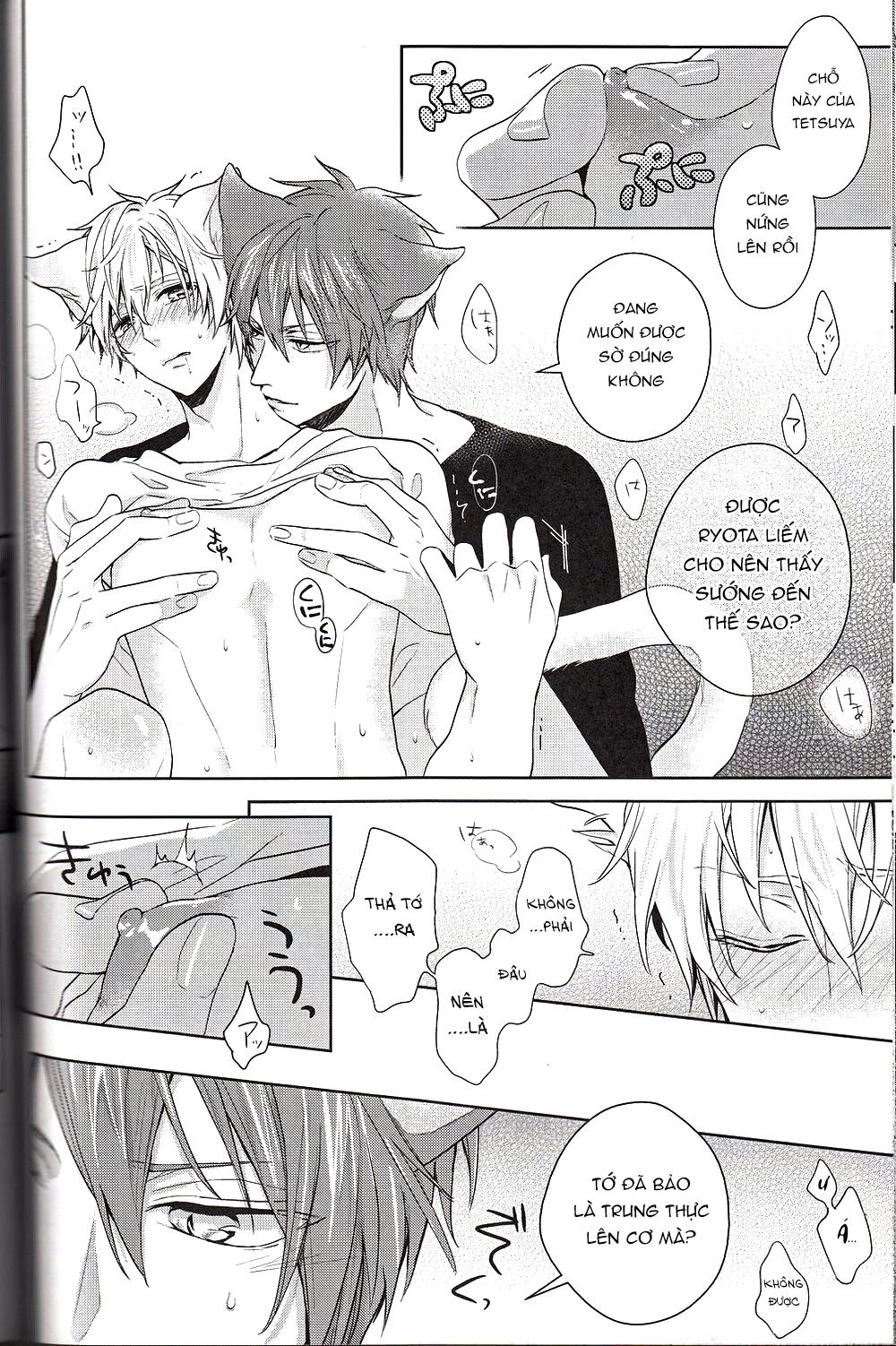 Đọc truyện Doujinshi của Kuroko no basket ball - Chapter 6