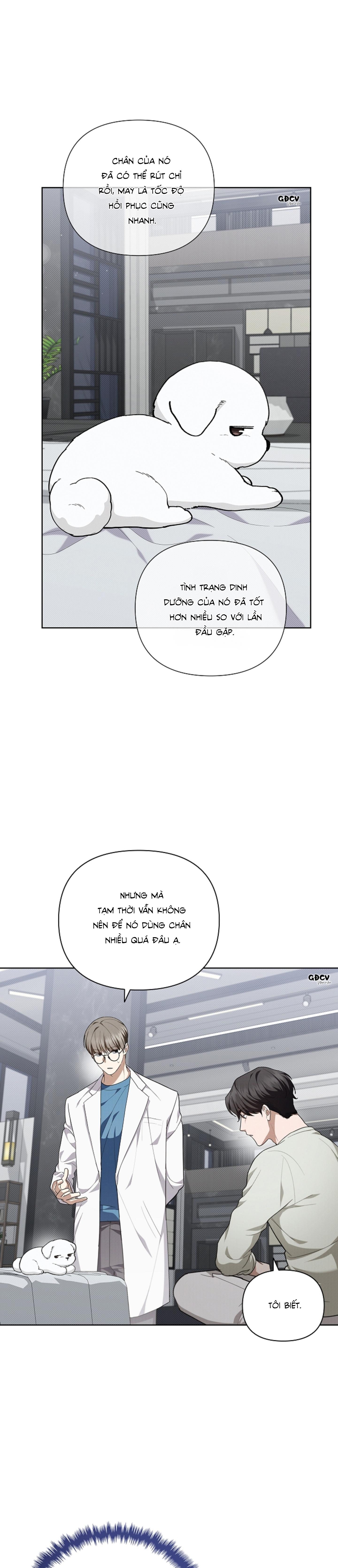 Đọc truyện ĐỪNG CHẠM VÀO CÚN CON CỦA TÔI - Chapter 13
