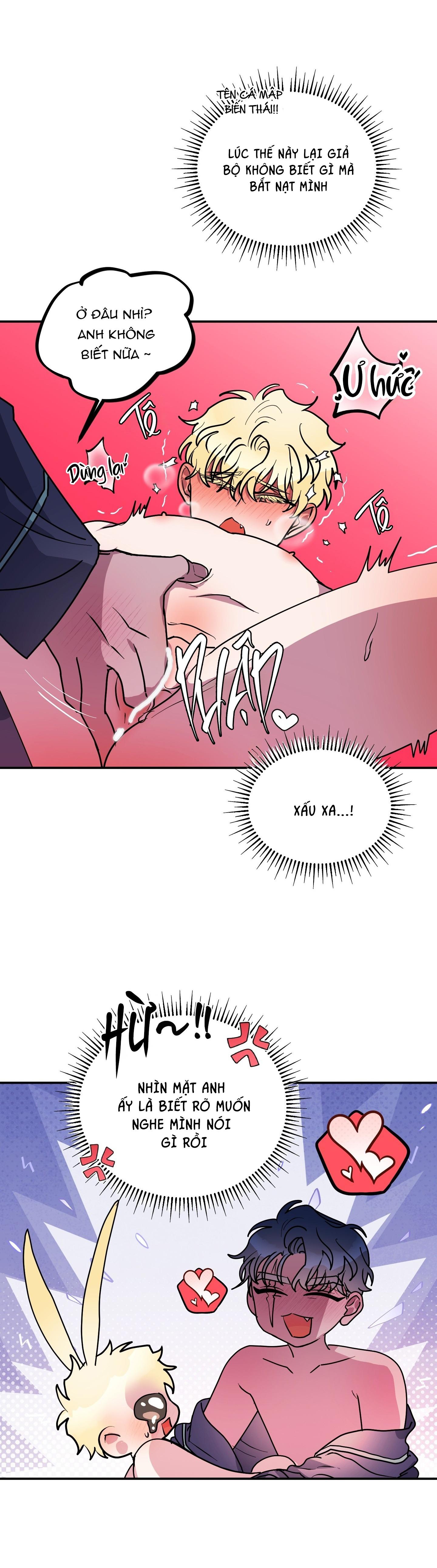 Đọc truyện CÁ MẬP VÀ CÔ DÂU THỎ - Chapter 50