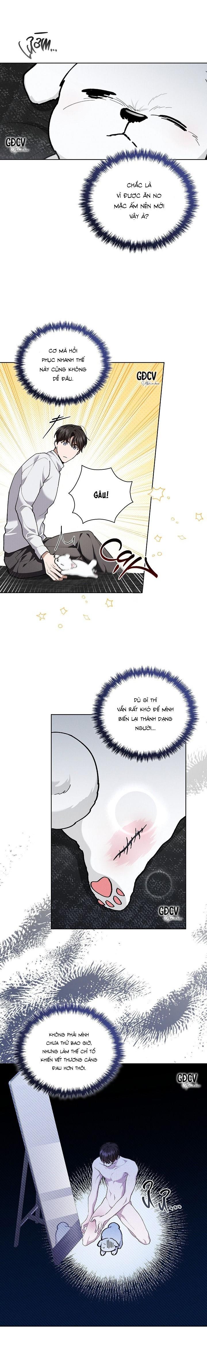 Đọc truyện ĐỪNG CHẠM VÀO CÚN CON CỦA TÔI - Chapter 7