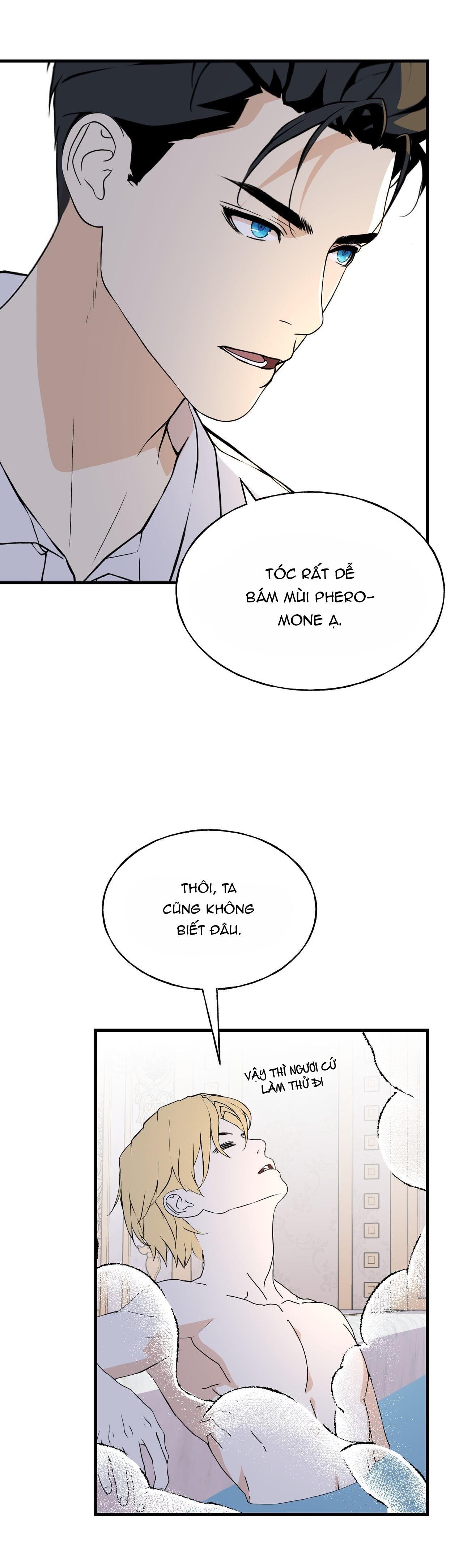 Đọc truyện (ABO) ĐÁM CƯỚI HOÀNG GIA - Chapter 13