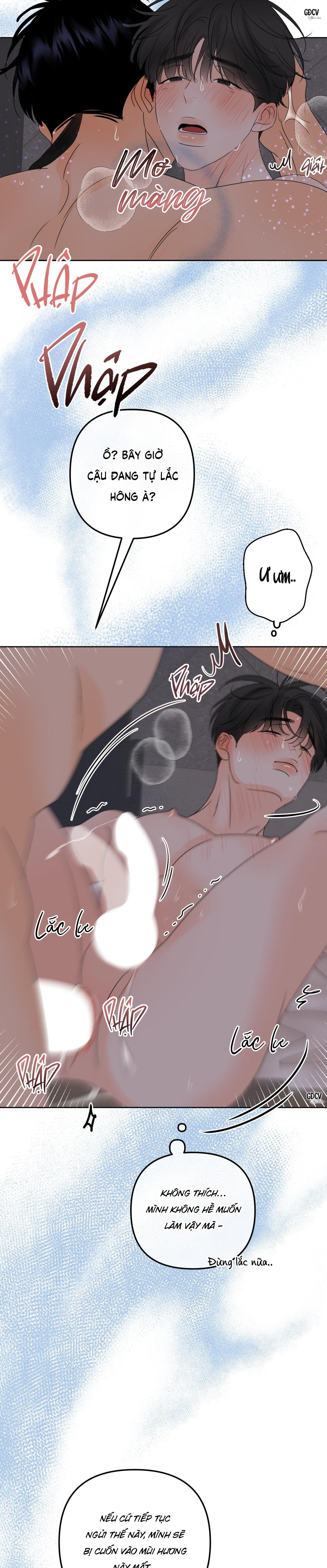 Đọc truyện RANH GIỚI CỦA MÙI HƯƠNG - Chapter 11