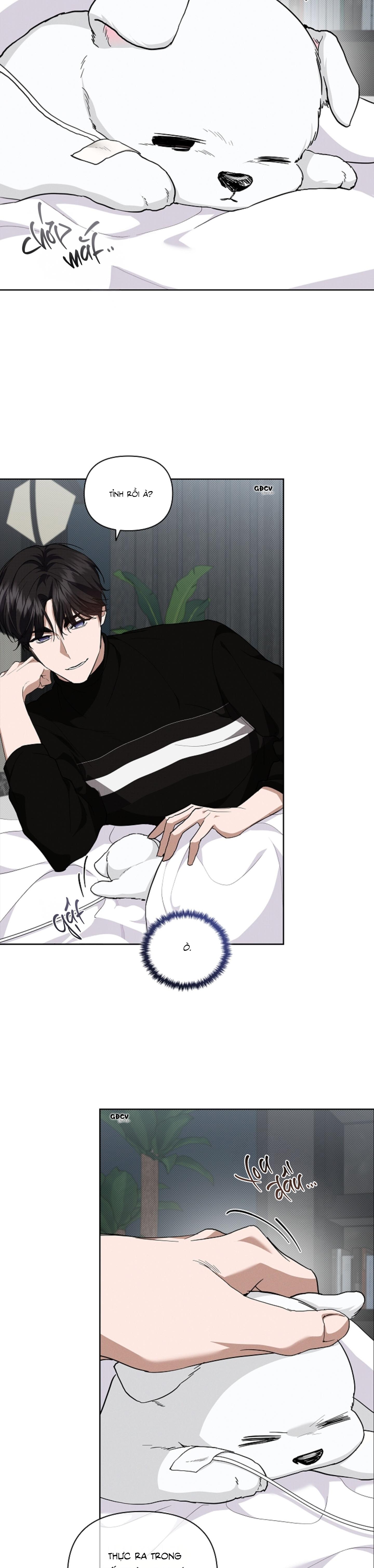 Đọc truyện ĐỪNG CHẠM VÀO CÚN CON CỦA TÔI - Chapter 17