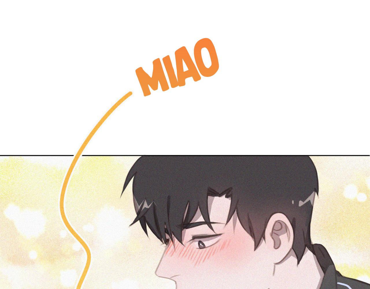 Đọc truyện Xã Hội Mồn Lèo - Chapter 34